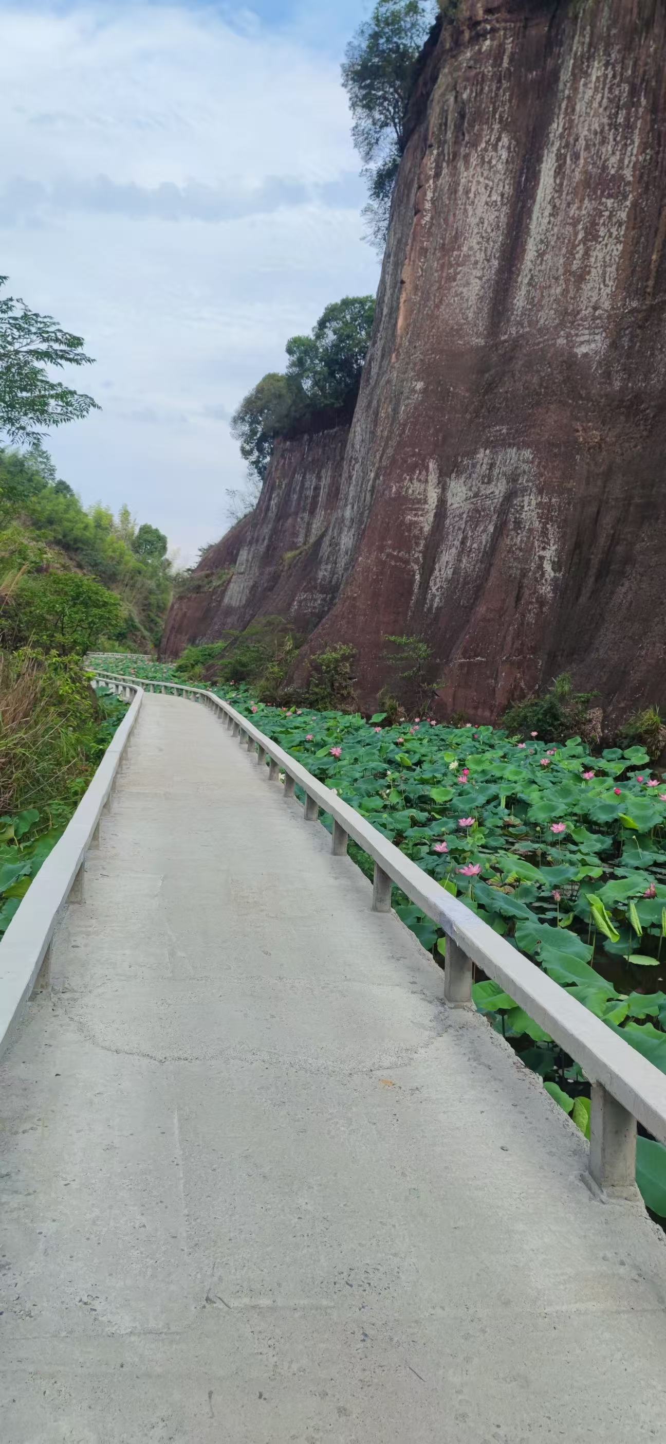 丹霞绝壁与荷塘步道